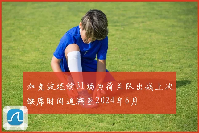 加克波连续31场为荷兰队出战上次缺席时间追溯至2024年6月