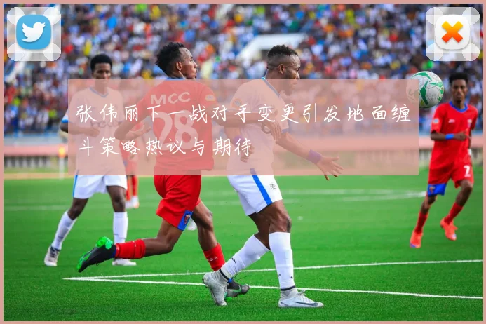 张伟丽下一战对手变更引发地面缠斗策略热议与期待